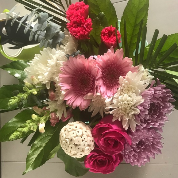 Meet your Posher, Tana - Picture 1 of 1